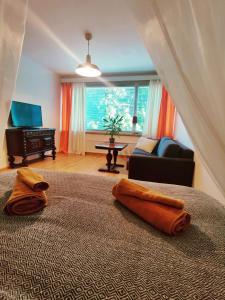 Möysä beach apartment