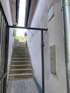Apartmán Králíček na vínné stezce