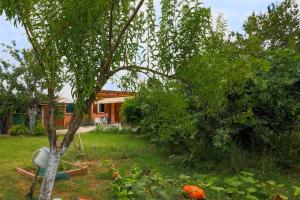 Maisons de vacances Le Clos Fleuri d'Olympe - Avec piscine privee : photos des chambres