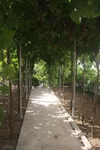 CasaTioManel - 阿尔卡内纳