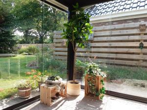 De Groninger Zeeuw by Droomvilla