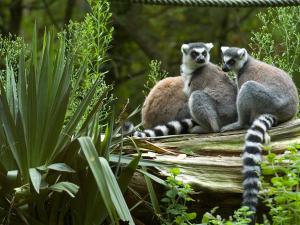 Appartement T3 lumineux, balcon sud, parking, proche plage et commerces - FR-1-92-688