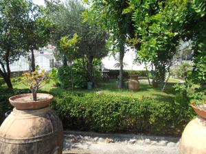 Le Magnolie