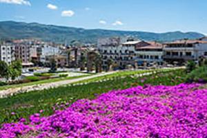 Ephesus Selcuk Castle View Suites