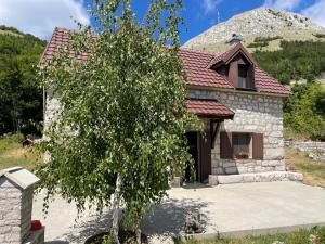 Lovcen Holiday Home