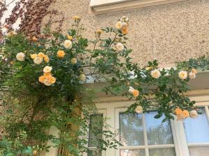 Maisons de vacances Maison de charme avec jardin ensoleille et calme : photos des chambres