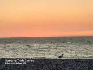 Appartements A BABORD Fecamp Appartement vue port et mer linge inclus : photos des chambres