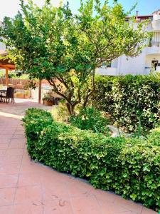 La Casetta di Marika