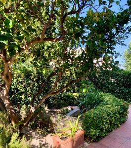 La Casetta di Marika