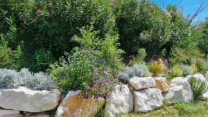 Antica Dimora dei Gelsi