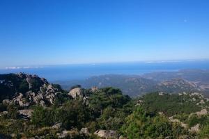 Maisons de vacances Maison en Corse Monacia d'Aullene : photos des chambres