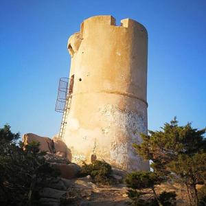 Maisons de vacances Maison en Corse Monacia d'Aullene : photos des chambres