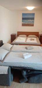 Spacious APARTMENT NOBILE RELAX IN A HISTORICAL OLD HOUSE