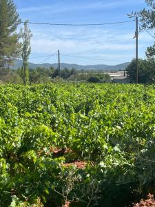 Appartements Gite domaine st Victorin : photos des chambres