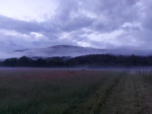 Ferienhaus Segenäs Schweden