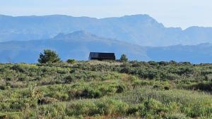 Little Acre Luxury Pods