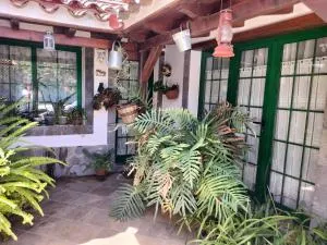 EL LLANETE - Las Casillas