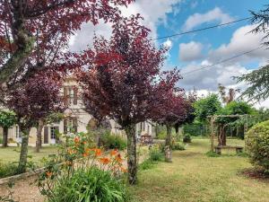 Maisons de vacances Petit Est - Eco Cottage in large private garden near Saint-Emilion : photos des chambres