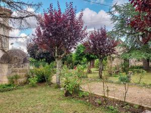 Maisons de vacances Petit Est - Eco Cottage in large private garden near Saint-Emilion : photos des chambres