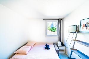 Appartements Le petit Chinard- studio cosy-Vaise : photos des chambres