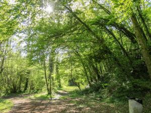 Maisons de vacances Petit Est - Eco Cottage in large private garden near Saint-Emilion : photos des chambres