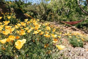 Cabaña Jacuzzi Exterior Privado