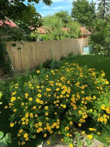 Kisvirág Vendégház