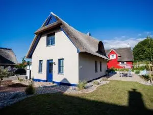 Ferienhaus mit Sauna in Boiensdorf - Niendorf