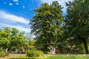 Maisons d'hotes Chateau de la Tourlandry : photos des chambres