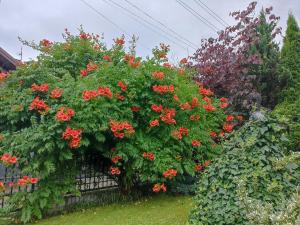 Котедж "Хата Рибака"