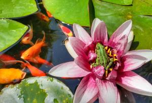 Ferme de Beaulieu, appartement avec jardin privatif