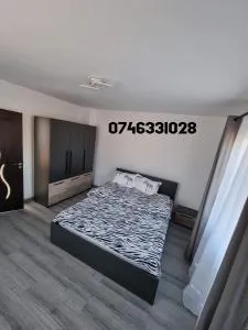 Casa Pietrele Doamnei - Prisaca Dornei