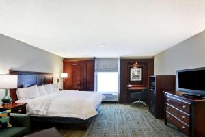 Deluxe King Room - Non-Smoking room in Hampton Inn Charlotte-Gastonia
