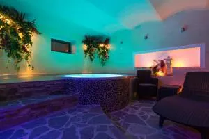 Wellness Pension Ametyst - Srnín