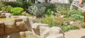 ЛЕСО-Зара студио