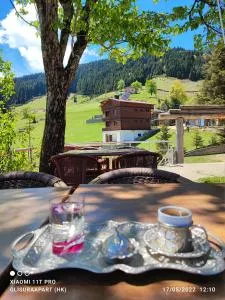 Gumul pansiyon - Aşağı Öğene