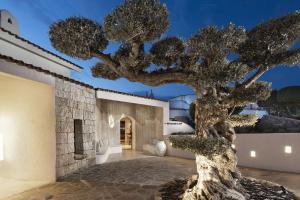 Sulià House Porto Rotondo, Curio Collection by Hilton img42