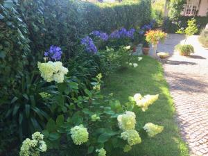 Villa Branca Jacinta