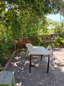 Stone Pazar Guest House