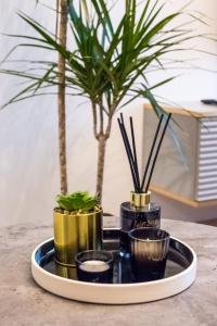 Juozapaviciaus apartment