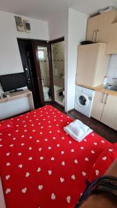 Garsoniera Plaja Modern Centru