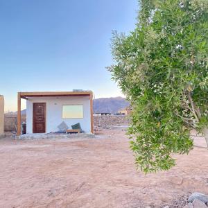 New Droub Camp