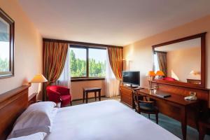 Hotels Hilton Strasbourg : Chambre Lit King-Size