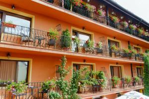 Complex Turistic Max International