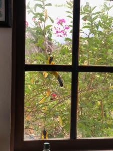 Encantadora y Tranquila Casa de Playa Vista al Mar