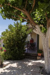 Muses Villas Messinia Greece