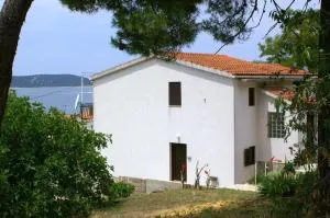 Apartments by the sea Sepurine, Prvic - 4238 - 普尔维奇卢卡