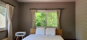 尼塞科 El Cosmo Lodge, Niseko 4星级 住宿 套房