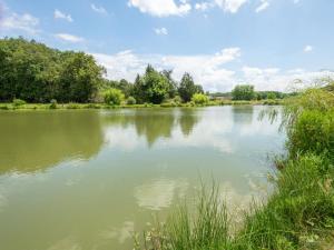 Maisons de vacances Cheerful holiday home in Centre-Val de Loire with pool : photos des chambres