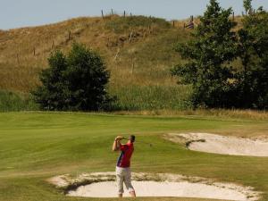 Chalet in Texel near Dunes and Water